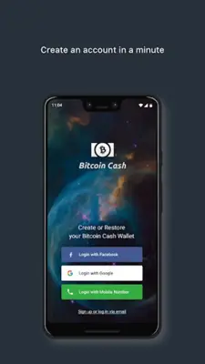 BCH Wallet - store & exchange Bitcoin Cash android App screenshot 5